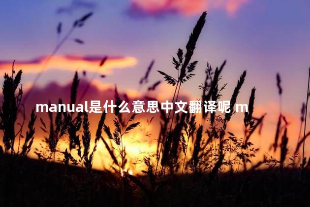 manual是什么意思中文翻译呢 manual啥意思